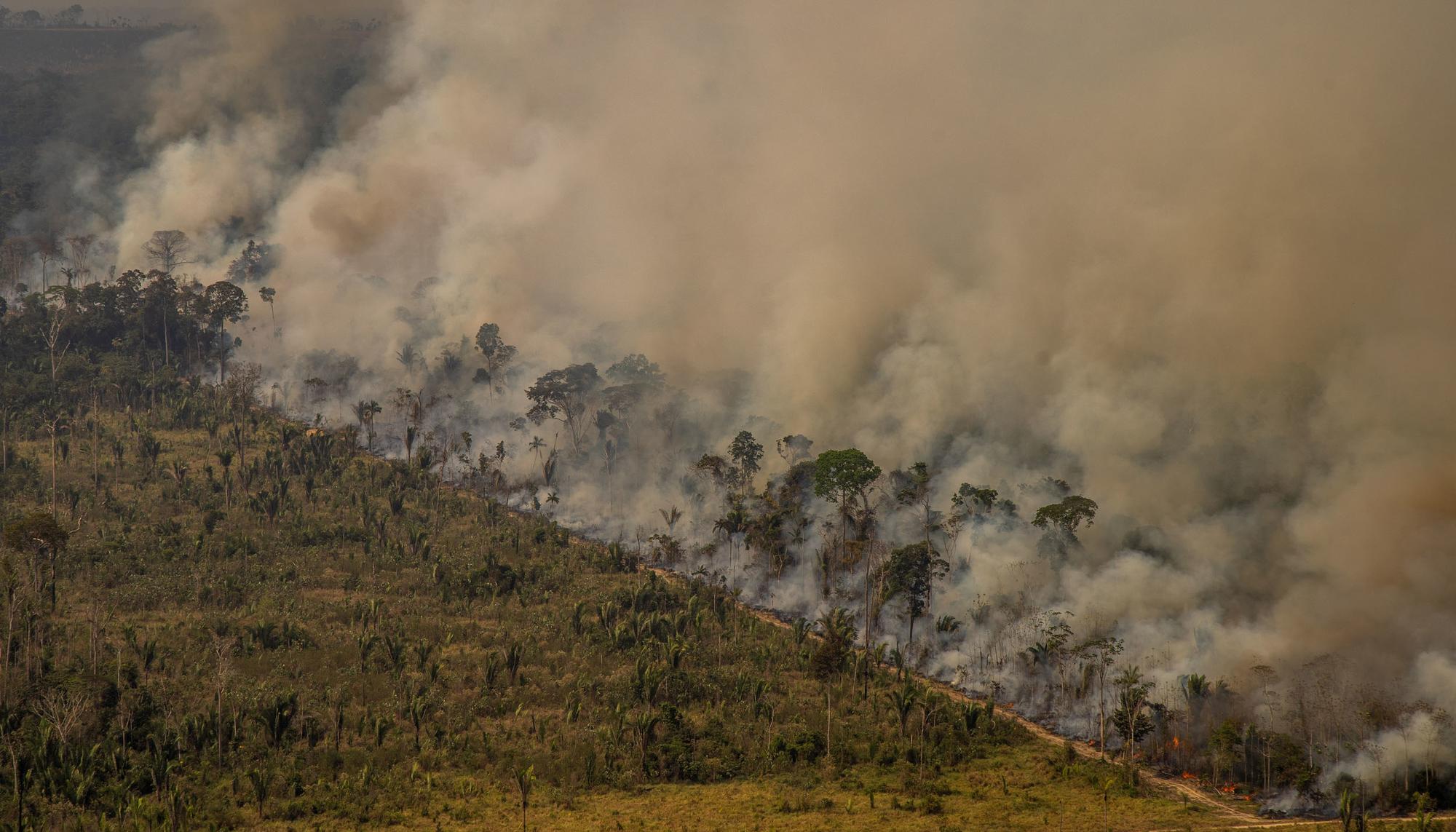 Amazonas fuego greenpeace